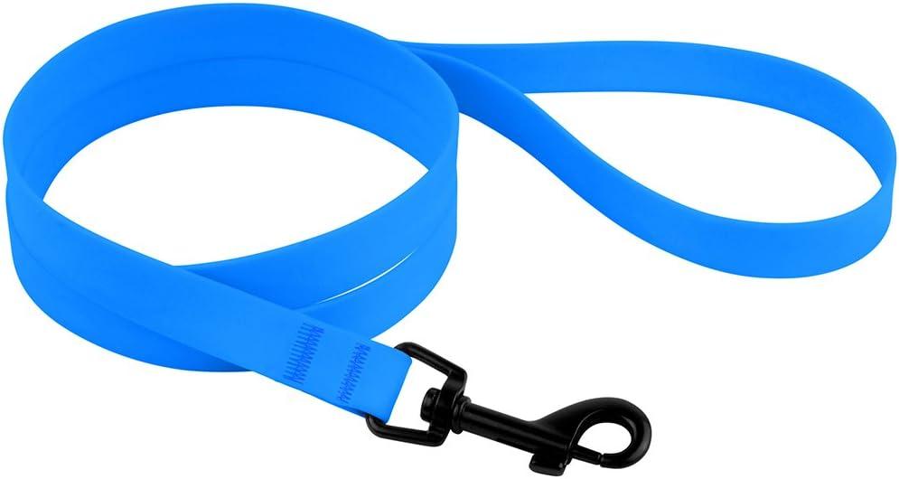 CollarDirect Waterproof Dog Leash Small Medium Large Durable Pet Leashes for Walking Training Running  Green (L, Blue)