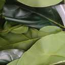 30" Artificial Fiddle Leaf Fig Tree, Realistic Fake Plants Faux Trees Indoor with Cotton Rope Basket, Artificial Plants Indoor for Apartment Home Living Room Office Decor
