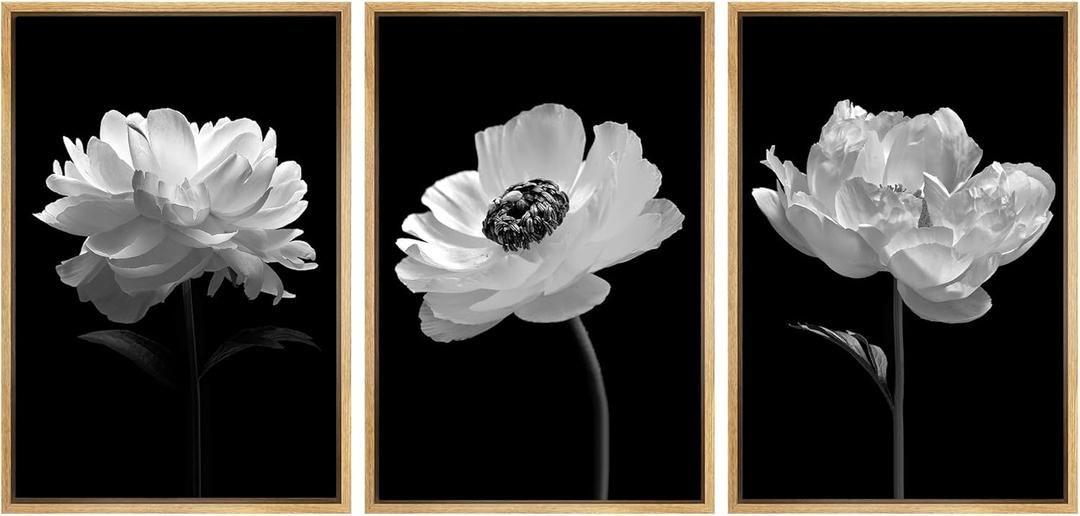 SIGNWIN Framed Wall Art Print Set Black and White Poppy and Carnation Still Life Shapes Patterns Illustrations Modern Bohemian Multicolor Cool for Living Room, Bedroom, Office - 16"x24"x3 Natural (Shape-2011-m04)