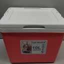 11Qt 19Qt Insulated Portable Cooler Leak-Proof Ice Chest Lunch Box Hard Coolers with Extra Ice Pack for BBQ, Camping, Pincnic