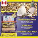 2 x Hagen Pigeon & Dove Seed - Original Formula Bird Food, 6 lb Bag Nutritionally Complete Seed Mix with Vitamins & Minerals Wild & Captive Bird Diet Insect-Resistant Air-Tight Packaging (EXP 04/23/26)