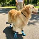 Dog Socks to Prevent Licking Paws, Anti Slip Dog Boots & Paw Protectors for Hardwood Floors, Toe Grips for Small Medium Large Senior Dogs, Dog Shoes for Hot/Cold Pavement(Blue Bone,L)
