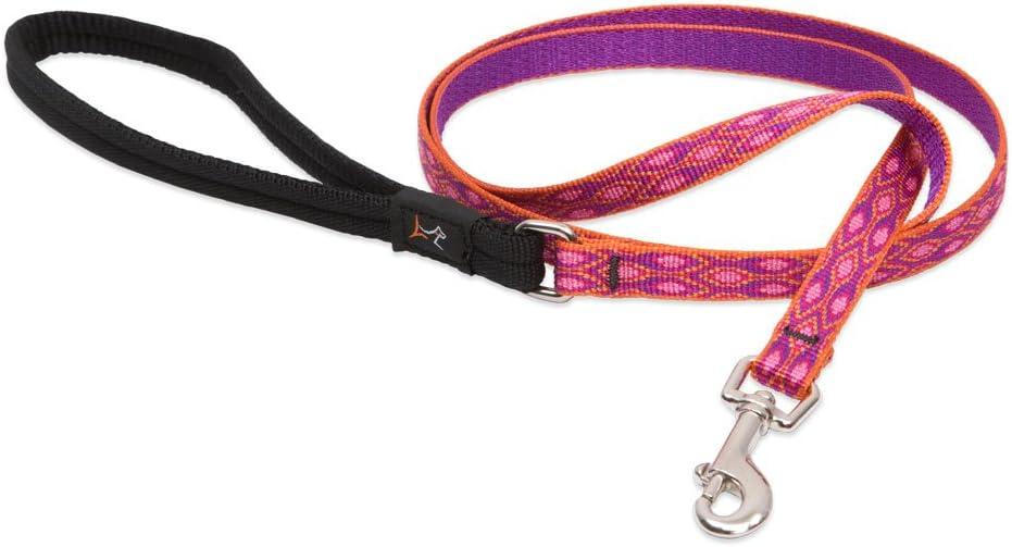 LupinePet Originals 1/2" Alpen Glow 6-foot Padded Handle Leash for Small Pets