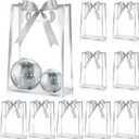 Aliceset 12 Pcs Clear Plastic Gift Bag with Die Cut Handles Reusable PP Favor Bag with Ribbon for Fall Thanksgiving Day Christmas Wedding Bridal Baby Shower Small Business, 7x10x3.15 Inch (Silver)