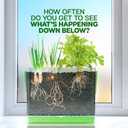 Dan&Darci Root Viewer Kit for Kids - Grow Your Own Plant for Boys & Girls Gifts - Science STEM Toy & Craft Growing Kits for Ages 4-8 Birthday Gifts for Boy, Girl 4, 5, 6, 7, 8, Year Old