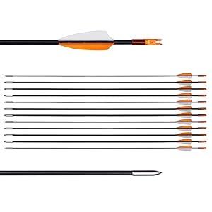 31" Training Arrows-Archery Practice Target Arrows for Youth or Beginners
