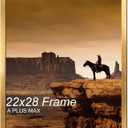 A PLUS MAX 22x28 Picture Frame Gold Light Weight Wall Mount
