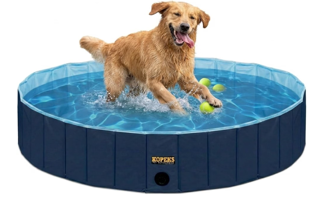 KOPEKS Outdoor Swimming Pool Bathing Tub - Portable Foldable - Ideal for Pets - XL 63" x 12",Blue,Pool-Blue-XL