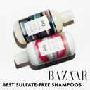 R+Co TELEVISION Perfect Hair Shampoo  Hydrating & Smoothing Hair Cleanser, Adds Shine & Softness, All Hair Types (8.5 Ounce)