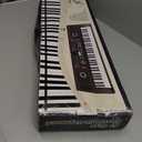 61 key keyboard Piano,Portable Electronic Digital Piano,Built In Dual Speakers,External Microphone,Power Plug,Rich Teaching Content,Multi-Functional Electronic Piano Suitable For Beginners iiw88