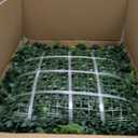 20''x20'' (12 Pieces) Artificial Hedge Vine Panels Greenery Backdrop