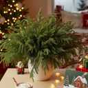 MISSPIN 12 Pcs 19.5 Inches Christmas Norfolk Pine Branches, Norfolk Pine Artificial Christmas Branches DIY Crafts Faux Pine Branches for Xmas Indoor Outdoor Home Decor