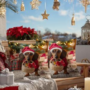 HOMETITUTE Merry Christmas Throw Pillow Covers 18x18 Inch Set of 2 Holiday Dachshund Pillow Cases Santa Puppy Decorative Cushion Covers for Sofa Couch Bed Winter Farmhouse Home Decor