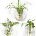 Mkono Wall Planter Propagation Stations Hanging Glass Terrariums Vase Container for Propagating Hydroponic Plants Flowers Home Office Living Room Bathroom Garden Decor, 3 Pack(Plants not Included)