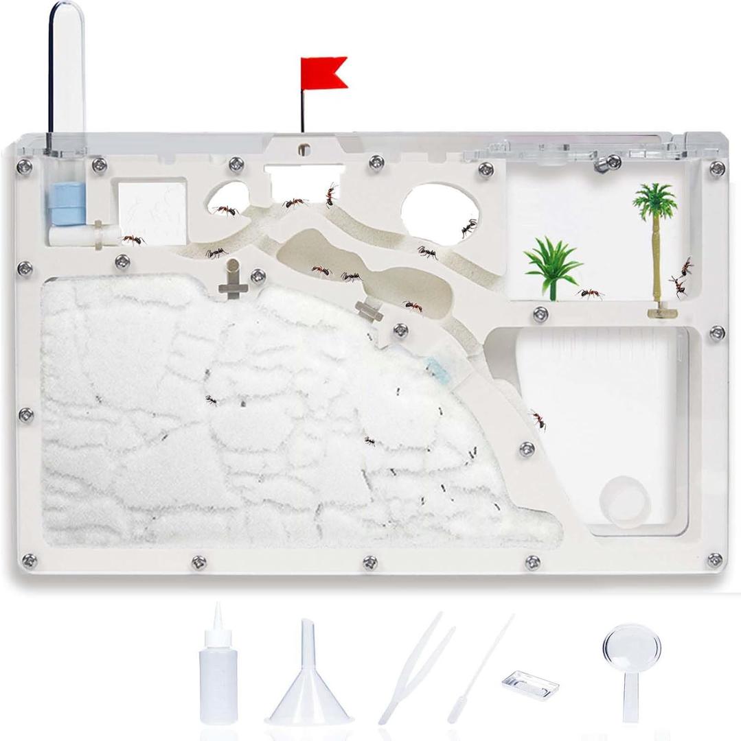Ant Farm Castle - Large Viewing Area - Care for Live Ants - Ant Colony Observation Kits with Sand Habitat - Educational Science Gifts for Boys, Girls - Ant Farms for Kids, Adults