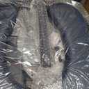 Drop Arm Bedside Commode, Commode Toilet with Padded Seat and Backrest, 400lbs Capacity, 5.3QT Removable Bucket and Splash Guard, Adjustable Height Portable Toilet for Adults, Blue