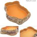 Reptile Food Feeding Dish, Bearded Dragon Food Bowl, Dearded Dragon Tank Accessories (Reptile Feeding Dish, Large)