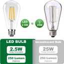 ST19 Vintage LED Edison Light Bulbs,E26 Led Bulb 25W Equivalent,Vintage LED Filament Bulbs,2.5W Warm White 2200K,250LM,Clear Glass,Non-Dimmable,3 Pack