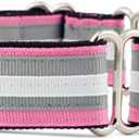 If It Barks 1" Martingale Collar for Dogs, Adjustable Nylon, USA Made, Medium, Spunky (Medium (15"-22"))
