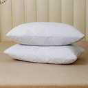 Pillow Protectors (2)