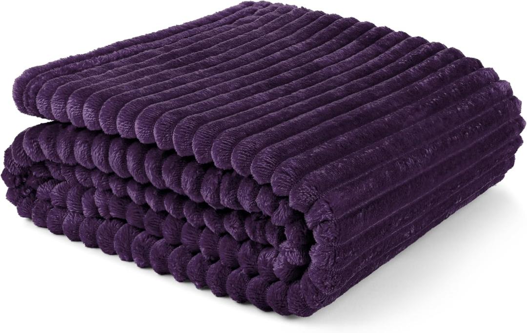 PAVILIA Super Soft Fleece Throw Blanket Twin Purple Eggplant, Fuzzy Plush Flannel Throw, Warm Cozy Ribbed Microfiber Blanket for Sofa Couch Bed, Lightweight Striped Blanket, Purple, 60x80