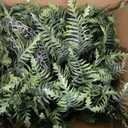 Outdoor Fake Hanging Fern Artificial Hanging Ferns 2 Pack, Large Faux Boston Fern Bushes, UV Resistant Outdoor Hanging Plants for Front Porch, Patio & Indoor Decor