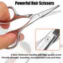 Premium Facial Hair Small Grooming Scissors For Men Women - Eyebrow, Nose Hair, Mustache, Beard, Eyelashes, Ear Trimming Kit - Rounded Tips Blades