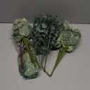 Giegxin 90 Pcs 3 Kinds Mixed Eucalyptus Leaves Stems Bulk Artificial Silver Dollar Leaves Picks Dried Eucalyptus Bundle Faux Spray for Wedding Vase Bouquet Floral Arrangement (Green)