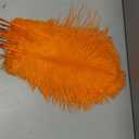 THARAHT Orange Ostrich Feathers 12pcs Large Natural Bulk 16-18Inch 40cm-45cm for Wedding Party Centerpieces Halloween and Home Decoration Feathers