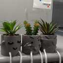 VENY TAYA 3PCS Cute Artificial Plants Office Decor for Women and Men, Small Fake Plants Decor for Bedroom and Bathroom, Lovely Faux Succulent Desk Decor for Office and Home, Grey