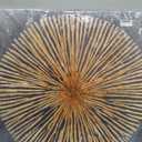 7Fisionart Sunburst Wall Art Gold Abstract Wall Decor Modern Radiant Color Pictures Paintings Grey Framed Artwork for Bedroom Living Room Kitchen Home Office 32"x32"