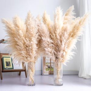 Tall Pampas Grass 20PCS Boho Decor Natural Home Decor Phragmites Dried Flowers Bouquet for Wedding Floral Arrangements Home Decorations (20PCS Tall Pampas Grass)