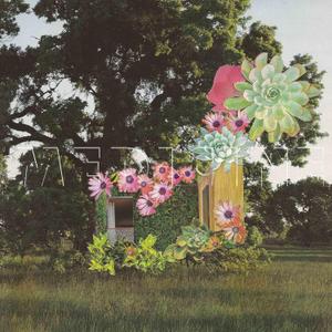 HOME EVERYWHERE by Medicine Vinyl
