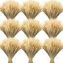 Geosar 600 Stems Dried Wheat Stalks for Decor Natural Wheat Grass Sheaves Bundle Farmhouse Artificial Flowers Arrangement for DIY Wedding Table Home Centerpieces Party Decorative (16 Inch)