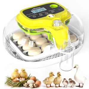 Incubators for Hatching Eggs, 16 Eggs Incubator with Auto Water Refill, Automatic Turner, Digital Temperature Control & Humidity Display and Led Candler, Poultry Hatcher for Chicken, Duck, Quail