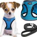 YIMEIS Dog Harness and Leash Set, No Pull Soft Mesh Pet Harness, Reflective Adjustable Puppy Vest for Small Medium Large Dogs, Cats (Blue, X-Small (Pack of 1)