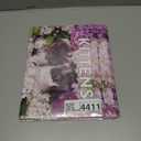 5 x Kitten Calendar 2026 Cat Kitty Gifts Monthly Wall Calender 12 Month | American Made In The USA