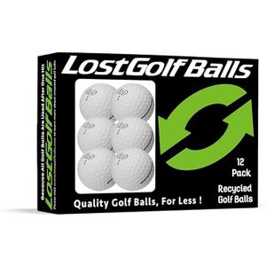 Titleist Lost Golf Balls, Recycled Golf Balls White, (One Dozen)