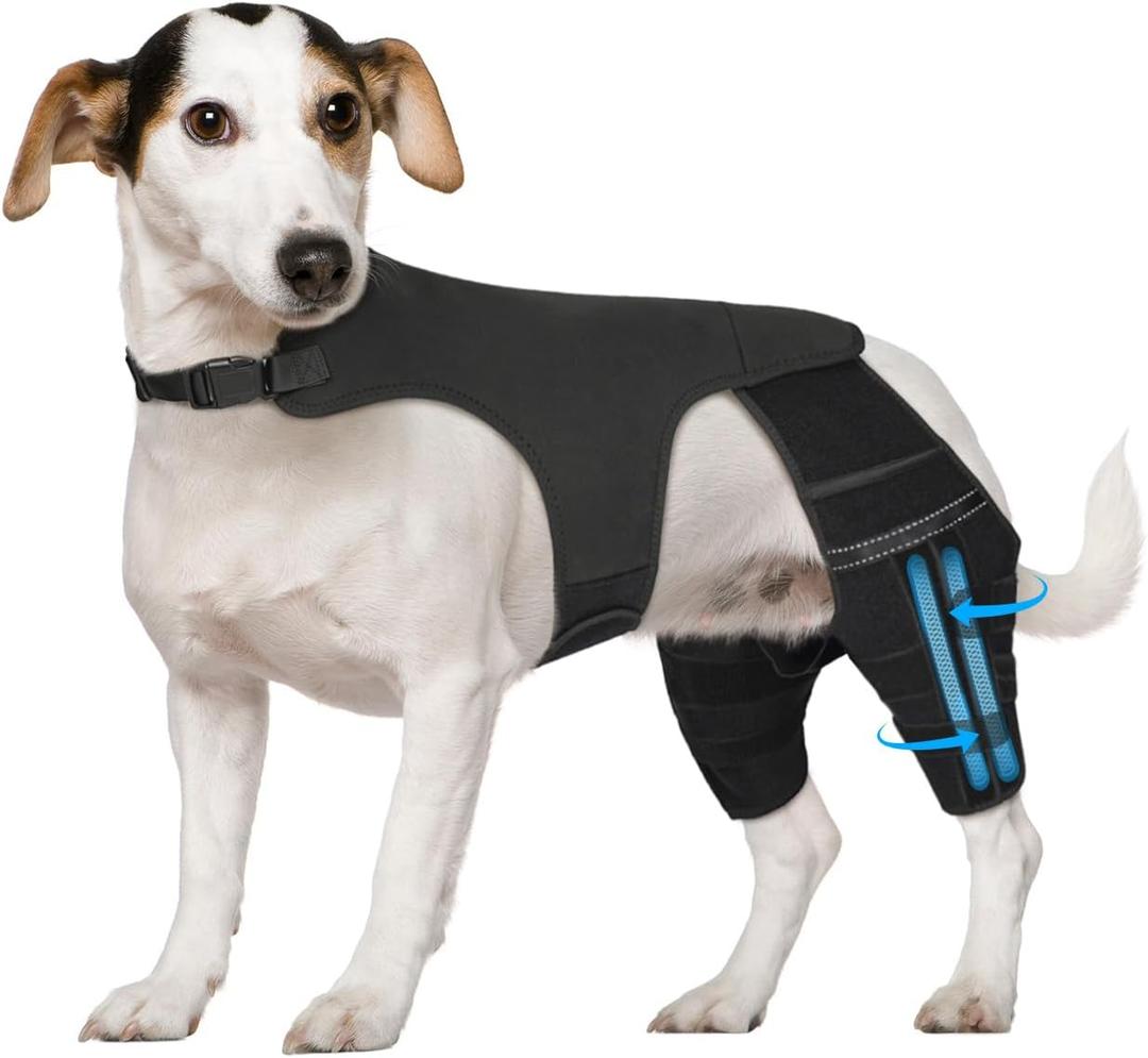 Dog Leg Braces for Torn ACL Hind Leg, with 4 Metal Stabilizers Support,Adjustable Dog Knee Braces for Back Leg, CCL, Luxating Patella, Ligament Injuries, Hip Dysplasia, XS (Black)