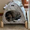 Pozico 2-in-1 Cat Bed Tent with Wooden Frame Cat Teepee & Hammock, Portable Indoor/Outdoor Pet Tent for Cats, Kittens, Small Dogs, and Small Animals Quick Assembly, White Diamond Design