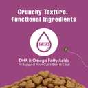 Get Naked Digestive Health Crunchy Cat Treats 6oz - Chicken Flavor, Grain-Free Cat Probiotics for Indoor Cats, Supports Healthy Digestion, Dental Health & Immunity, Made in The USA (EXP 03/30/27)