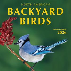 3 x Backyard Birds Calendar 2026-12-Month Hangable Wall Calendar with Nature Photography, Beautiful calendar 2026, Ideal Gift for Birders, Home/Office Decor, Wildlife Images & Bird Watching