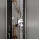 Rose Gold Bling Stainless Steel Leopard Band Compatible Apple Watch Bracelet Women Slim 42mm 44mm 45mm 49mm,Jullstar Thin Black Rose Gold Pink Metal Cheetah Dshape Sparkling Bangle for iphone Watch