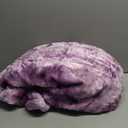 NEWCOSPLAY Super Soft Faux Fur Throw Blanket for Couch Light Purple Sherpa Fuzzy Plush Warm Blanket for Sofa Bed (Light Purple, Throw(50"x60"))