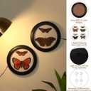 Beeveer 4 Pcs 7 Inch Vintage Round Wood Framed Butterfly Wall Art Insect Illustration Prints Picture Butterfly Art Wooden Wall Hanging Picture Frames for Living Room Bedroom Home Decor
