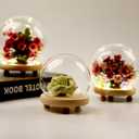 Round Glass Cloche Ball Jar Dome Tabletop Display with Wooden Base Diameter 4.7 Inches