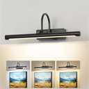 24" Picture Light for Wall Black Rechargeable Wireless Remote Lights Dimmable LED Art Painting Light with 3 Color Temp Display for Gallery Artwork Paintings Portraits Dartboards Display