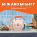 Instant Pot 4QT RIO Mini 7-in-1 Multi-Cooker, Pressure Cooker, Slow cook, Saut, Steam, Rice Maker, Yogurt, & Warmer, Rosewater, 4 Quarts