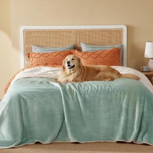 Bedsure Waterproof Blanket for Bed - Sherpa Fleece Waterproof Dog Blankets for Large Dogs, Pet Blankets for Bed/Couch/Dog Crate, Soft Plush Reversible Furniture Protector, Queen, 90"x86", Light Green