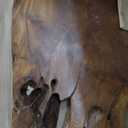 Handcrafted Edge Coffee Table | Natural Wood with Unique Organic Shape | Metal Hairpin Legs for Living Room, Side Table & Boho Decor,Clear Lacquer Finish (Large)